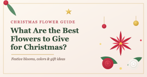 Best flowers to give for Christmas in the Philippines guide by Flower Bar Cebu